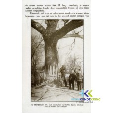 WinterOpDenRijn.25 coll RWS HK Rijnwaarden F00001057
